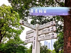 景点-橘子洲景区