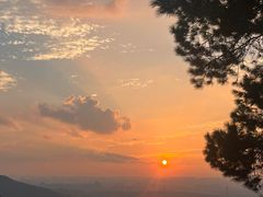 -铁山坪森林公园