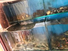 水产区-小郭私房菜·海肠捞饭店(学士街店)