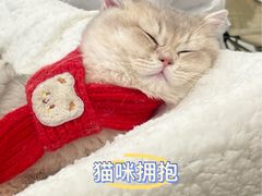 -成都银泰城