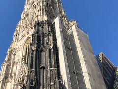 -斯蒂芬主教座堂(Stephansdom)