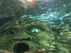 -悉尼海洋生物水族馆