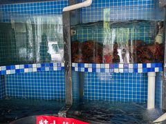 水产区-指爱龙虾(金杨路总店)