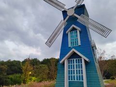 -铁山坪森林公园