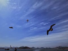 -海驴岛(荣成市)
