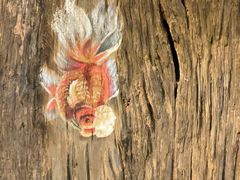 -江记.前院(邕州老街店)