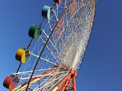 -济南野生动物世界