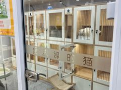 -爱洗澡的猫(天河路店)