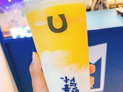 -春丽小马(济南恒隆广场店)