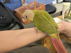 -吾叁·吉趣鸟咖(万科店)
