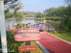 -大亚湾红树林城市湿地公园