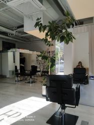 -Hair  Gallery