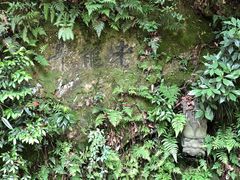 -十八棵（老龙井）御茶园(老龙井店)