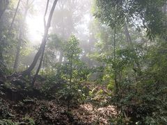 -青城山