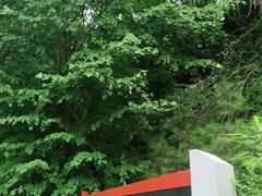 -终南山南五台景区