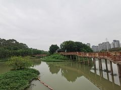 -广东花都湖国家湿地公园