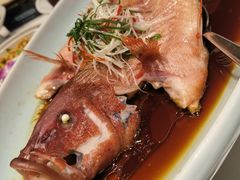 -新海渔港·胶东海鲜家常菜·家宴(奥体中心店)