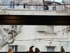 -TonTon(永康路店)