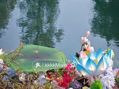 -花溪公园