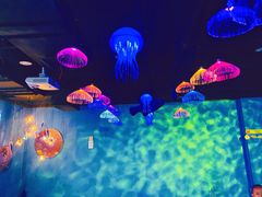 -常州海昌海洋探索馆