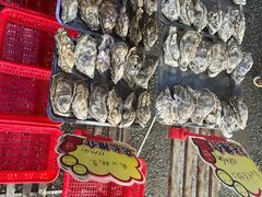 -蚝专家(北滘店)