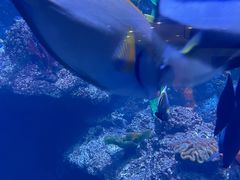 -海合安青岛极地海洋公园