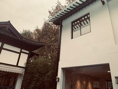 景观位-兰边碗(鼓楼店)
