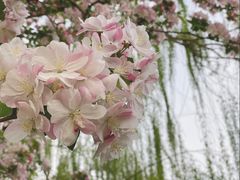 -海棠花溪(元大都城垣遗址公园)