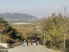 -北京西山国家森林公园