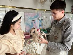 -糯米喵星人总部直营旗舰店·猫舍·幼猫出售