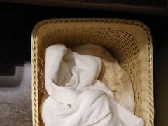 -西安大雁塔科技大学地铁站亚朵酒店