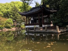 -汇龙潭