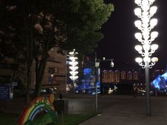 -重庆市江北嘴中央商务区中央公园