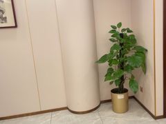 -鲁宴·鲁煨黄河生态大鲤鱼(月坛店)