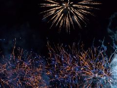 -南宁花花大世界景区