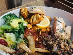-Green Option(官舍店)