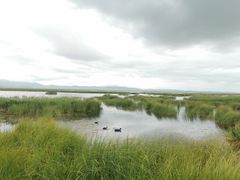 -花湖生态旅游区