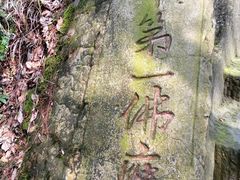 -南山植物园