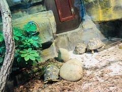 -大连森林动物园