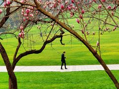 -重庆中央公园(渝北区)