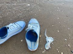 -椰风寨