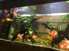 -大家乐(广州荔湾领展广场店)