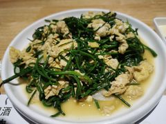 -蒙料·手把肉(望京店)