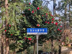 -冶父山国家森林公园