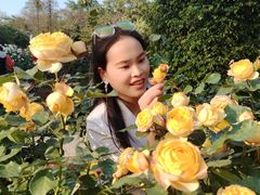 -人民公园(罗湖区)