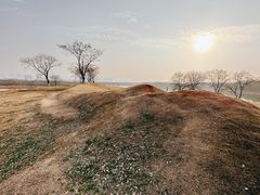 -盘龙城国家考古遗址公园