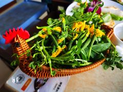 -墨脱石锅椰子鸡•香草鸭•东山羊(大东海店)