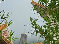 -深圳仙湖植物园