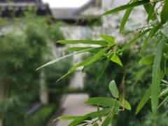 -大连北马山庄