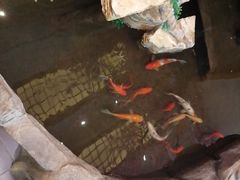 -鸥迪足道(湖南示范店)